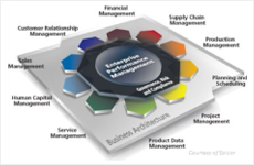 ERP software